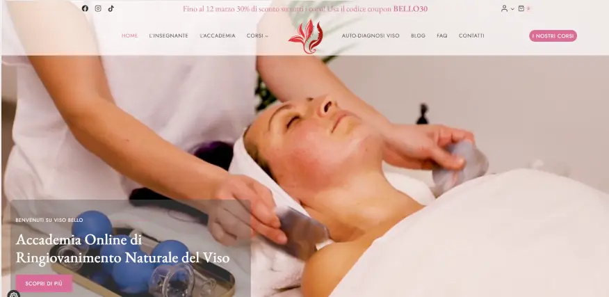 Revamping sito Viso bello